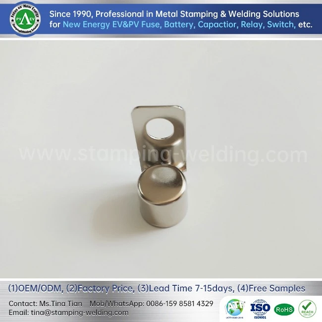 EV Power System Fuse Copper Cap
